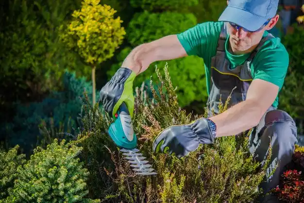 landscaping services Huntington Bay